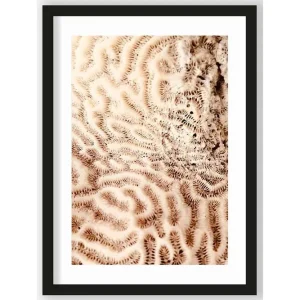 Beperkt Aanbod Art Print The Brains of the Sea